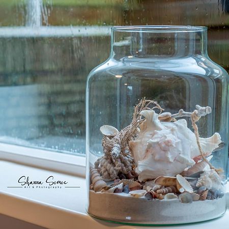 Carpe Diem Egmond Aan Zee By Urban Home Stay ภายนอก รูปภาพ
