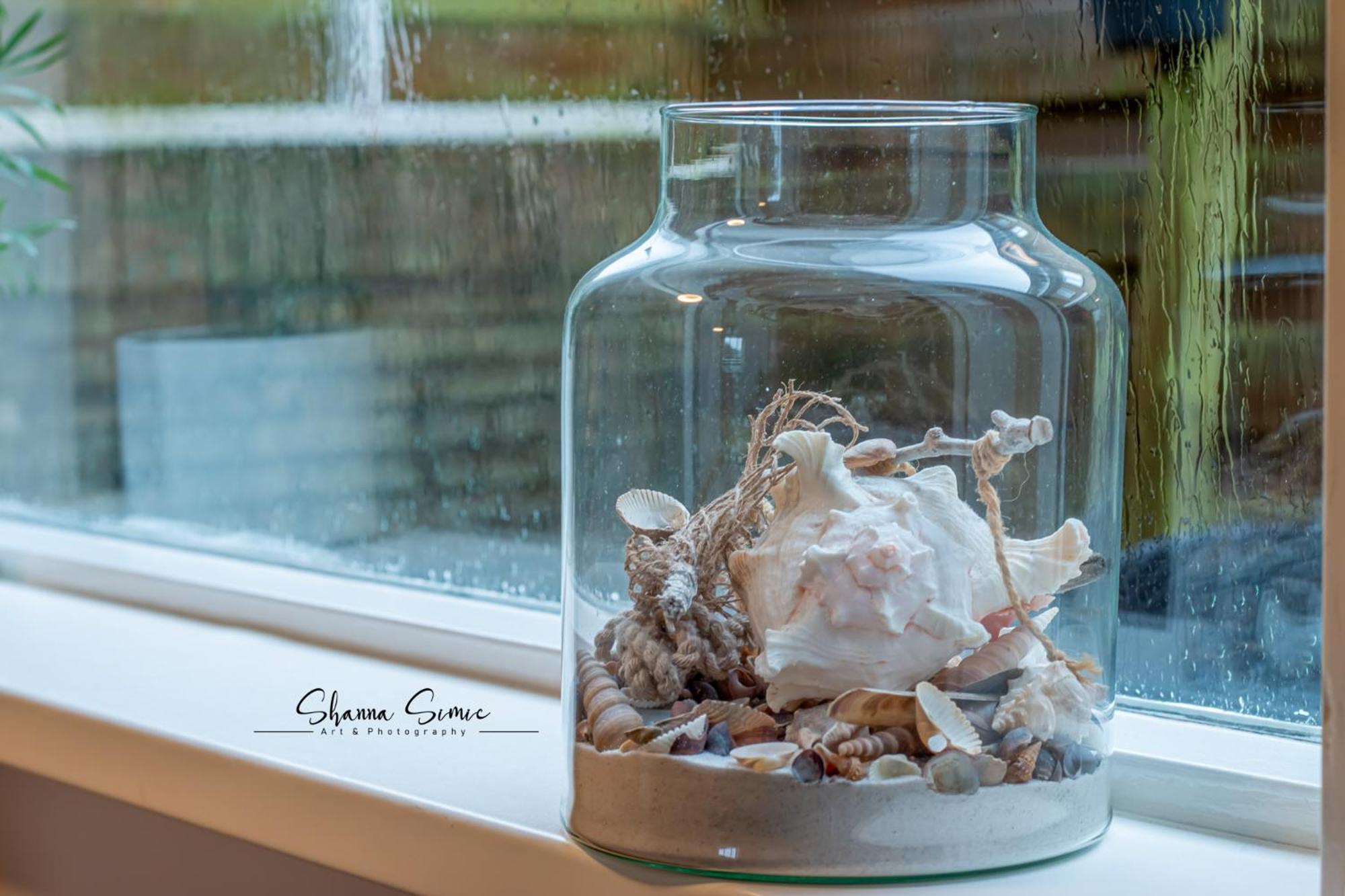 Carpe Diem Egmond Aan Zee By Urban Home Stay ภายนอก รูปภาพ